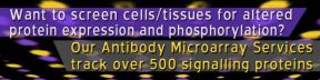 
      Want to screen cells/tissues for altered protein expression and phosphorylation?
      Our Antibody Microarray Services tracks over 500 signalling proteins.
    