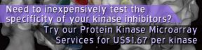
      Need to inexpensively test the specificity of your kinase inhibitors?
      Try our Protein Kinase Microarray Services for US$1.67 per kinase.
    