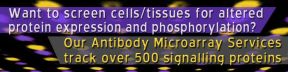 
      Want to screen cells/tissues for altered protein expression and phosphorylation?
      Our Antibody Microarray Services tracks over 500 signalling proteins.
    