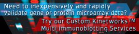 
      Need to inexpensively and rapidly validate gene or protein microarray data?
      Try our Custom Multi-immunoblotting Services.
    