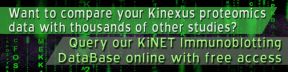 
      Want to compare your Kinexus proteomics data with thousands of other studies?
      Query our KiNET Immunoblotting DataBase online with free access.
    